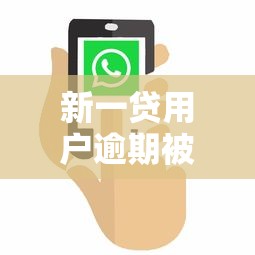 新一贷用户逾期被起诉真实案例解析:如何避免踩坑? 新一贷用户逾期被起诉真实案例解析:如何避免踩坑?
