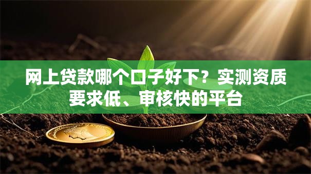 网上贷款哪个口子好下？实测资质要求低、审核快的平台