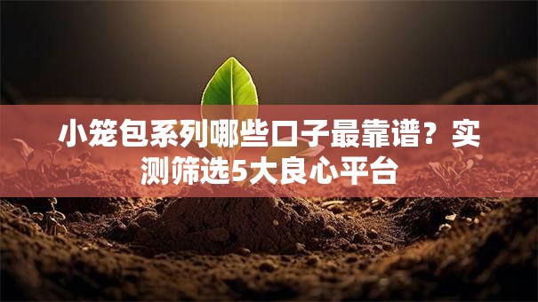 小笼包系列哪些口子最靠谱？实测筛选5大良心平台