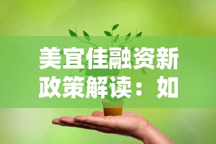 美宜佳融资新政策解读：如何抓住低息贷款机遇？