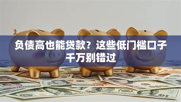 负债高也能贷款?这些低门槛口子千万别错过 负债高也能贷款?这些低门槛口子千万别错过
