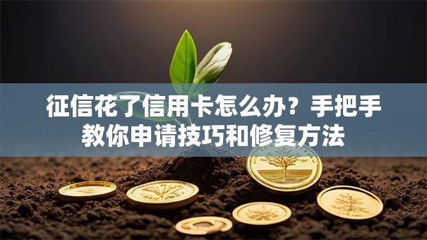 征信花了信用卡怎么办？手把手教你申请技巧和修复方法