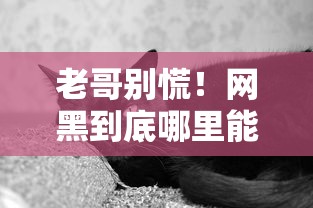 老哥别慌!网黑到底哪里能借钱呀?这些口子偷偷告诉你 老哥别慌!网黑到底哪里能借钱呀?这些口子偷偷告诉你