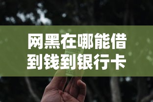 网黑在哪能借到钱到银行卡?这几个渠道可能管用 网黑在哪能借到钱到银行卡?这几个渠道可能管用
