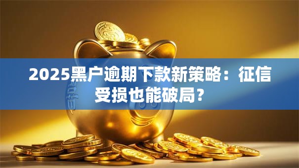 2025黑户逾期下款新策略：征信受损也能破局？