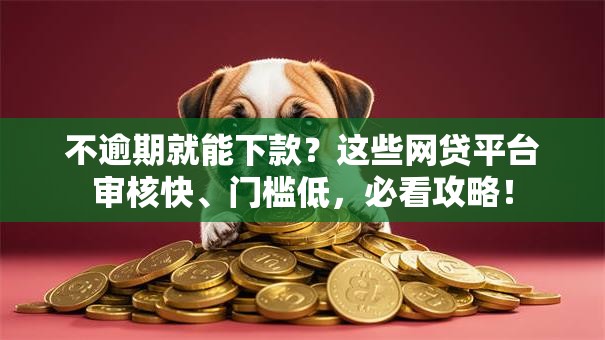 不逾期就能下款？这些网贷平台审核快、门槛低，必看攻略！