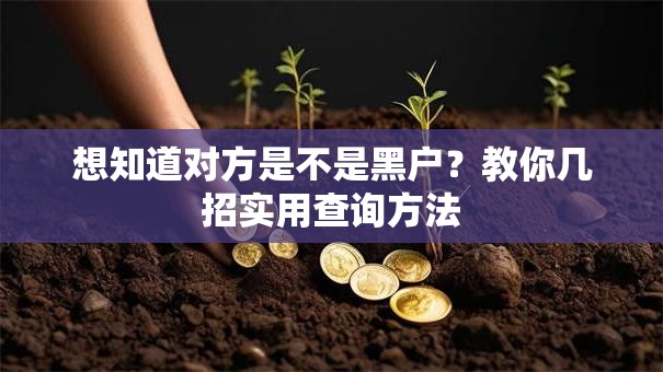 想知道对方是不是黑户?教你几招实用查询方法 想知道对方是不是黑户?教你几招实用查询方法