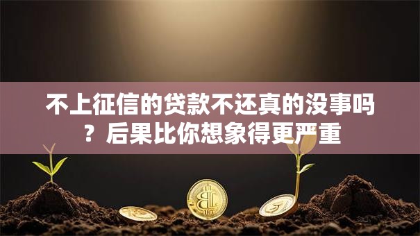 不上征信的贷款不还真的没事吗?后果比你想象得更严重 不上征信的贷款不还真的没事吗?后果比你想象得更严重