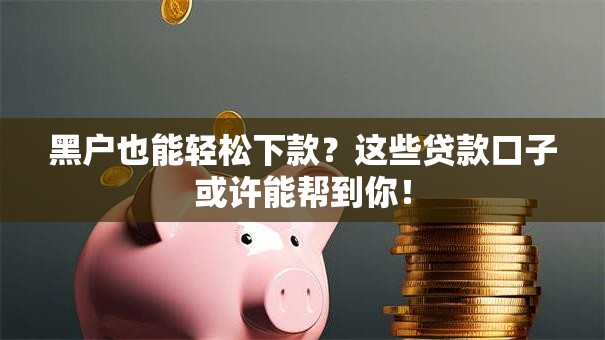 黑户也能轻松下款?这些贷款口子或许能帮到你! 黑户也能轻松下款?这些贷款口子或许能帮到你!