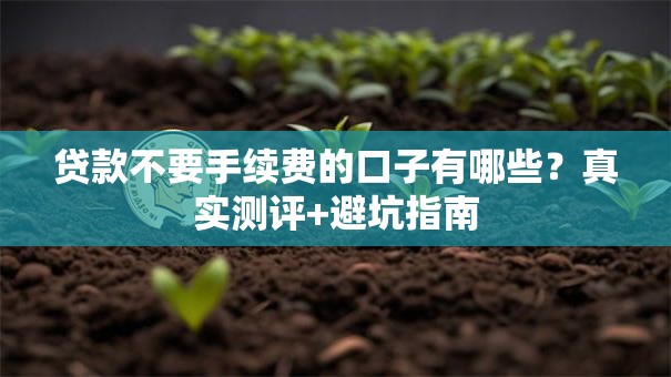 贷款不要手续费的口子有哪些？真实测评+避坑指南