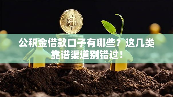 公积金借款口子有哪些?这几类靠谱渠道别错过! 公积金借款口子有哪些?这几类靠谱渠道别错过!