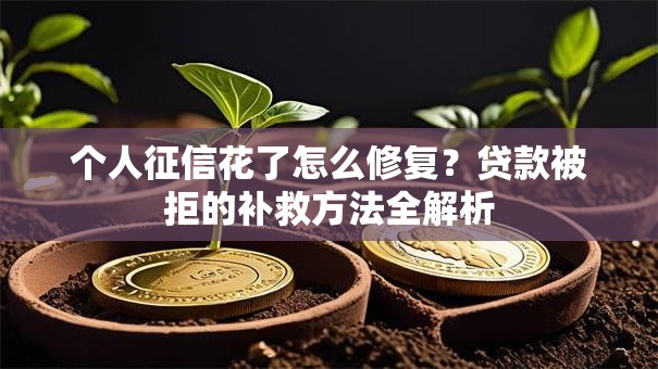 个人征信花了怎么修复?贷款被拒的补救方法全解析 个人征信花了怎么修复?贷款被拒的补救方法全解析