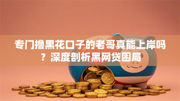 专门撸黑花口子的老哥真能上岸吗？深度剖析黑网贷困局