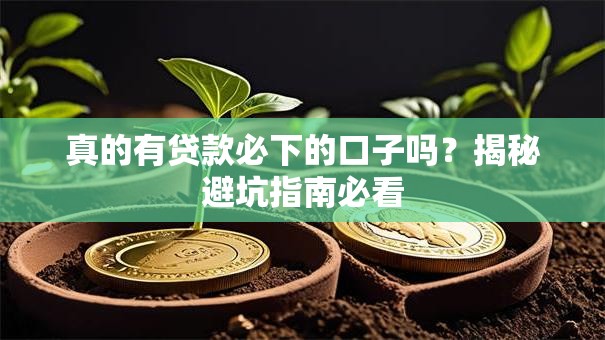 真的有贷款必下的口子吗？揭秘避坑指南必看