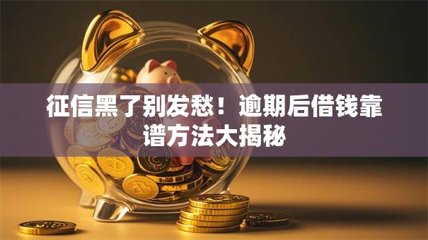 征信黑了别发愁！逾期后借钱靠谱方法大揭秘
