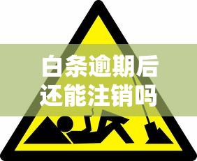 白条逾期后还能注销吗？用户必知的3个处理步骤和注意事项