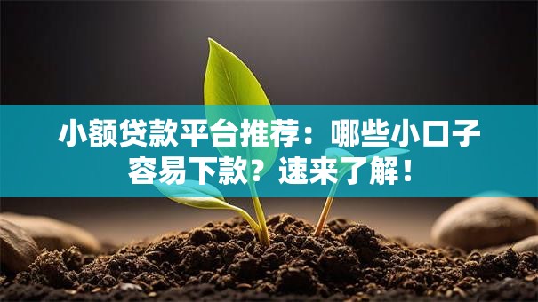 小额贷款平台推荐：哪些小口子容易下款？速来了解！