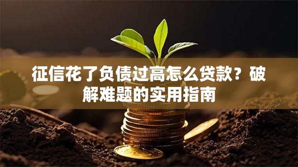 征信花了负债过高怎么贷款？破解难题的实用指南