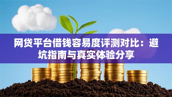 网贷平台借钱容易度评测对比：避坑指南与真实体验分享