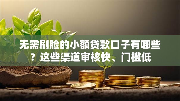无需刷脸的小额贷款口子有哪些？这些渠道审核快、门槛低