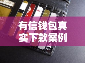 有信钱包真实下款案例分享：有人成功申请到贷款了吗？