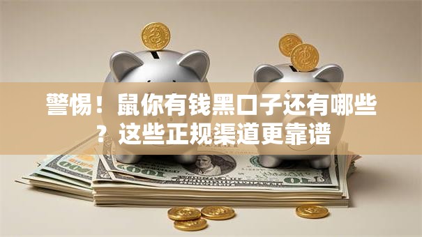 警惕！鼠你有钱黑口子还有哪些？这些正规渠道更靠谱