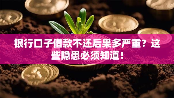 银行口子借款不还后果多严重？这些隐患必须知道！