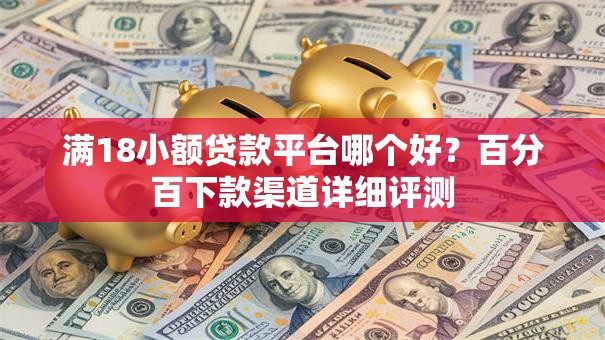 满18小额贷款平台哪个好？百分百下款渠道详细评测