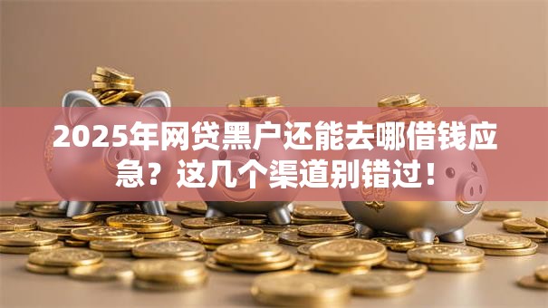 2025年网贷黑户还能去哪借钱应急？这几个渠道别错过！
