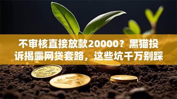 不审核直接放款20000？黑猫投诉揭露网贷套路，这些坑千万别踩！