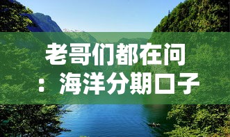 老哥们都在问：海洋分期口子入口到底怎么找？