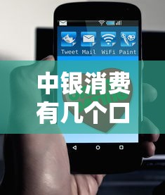 中银消费有几个口子贷款？这3大产品类型必须了解