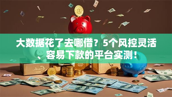 大数据花了去哪借？5个风控灵活、容易下款的平台实测！