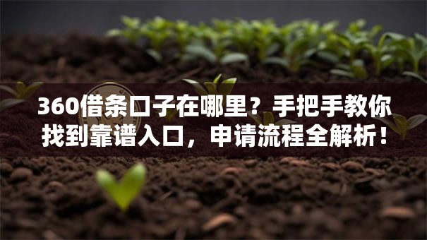 360借条口子在哪里？手把手教你找到靠谱入口，申请流程全解析！