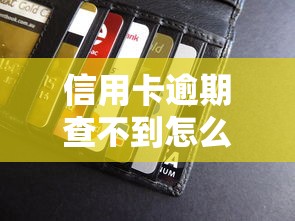 信用卡逾期查不到怎么办？三步教你正确处理信用异常