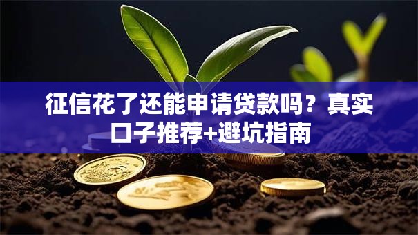 征信花了还能申请贷款吗？真实口子推荐+避坑指南
