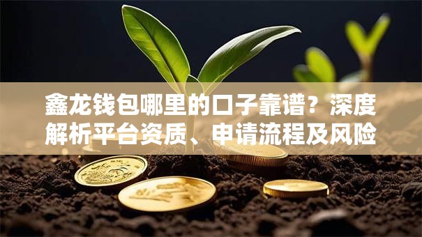 鑫龙钱包哪里的口子靠谱？深度解析平台资质、申请流程及风险提示