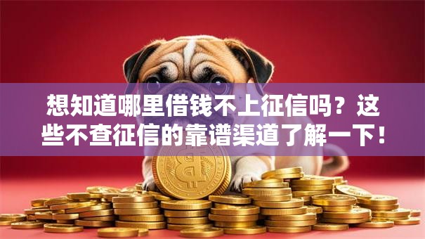 想知道哪里借钱不上征信吗？这些不查征信的靠谱渠道了解一下！