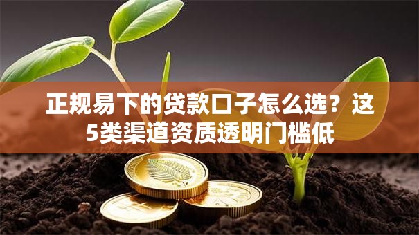正规易下的贷款口子怎么选？这5类渠道资质透明门槛低