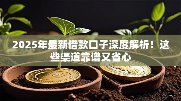 2025年最新借款口子深度解析！这些渠道靠谱又省心