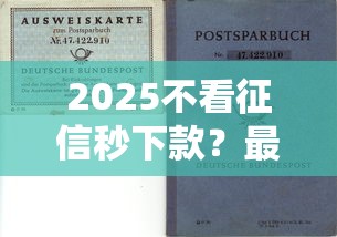 2025不看征信秒下款？最新隐藏技巧+避坑指南，轻松解决资金难题