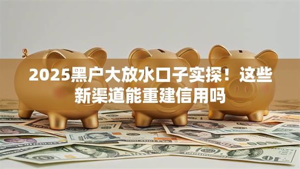 2025黑户大放水口子实探！这些新渠道能重建信用吗