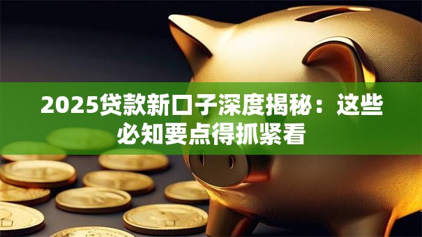 2025贷款新口子深度揭秘：这些必知要点得抓紧看