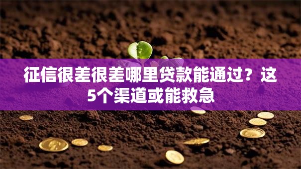 征信很差很差哪里贷款能通过？这5个渠道或能救急