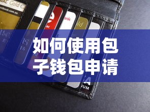 如何使用包子钱包申请贷款？详细步骤与注意事项解析