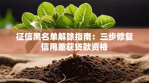 征信黑名单解除指南：三步修复信用重获贷款资格