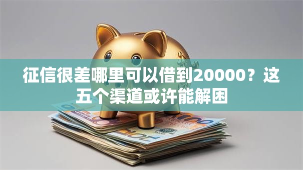 征信很差哪里可以借到20000？这五个渠道或许能解困