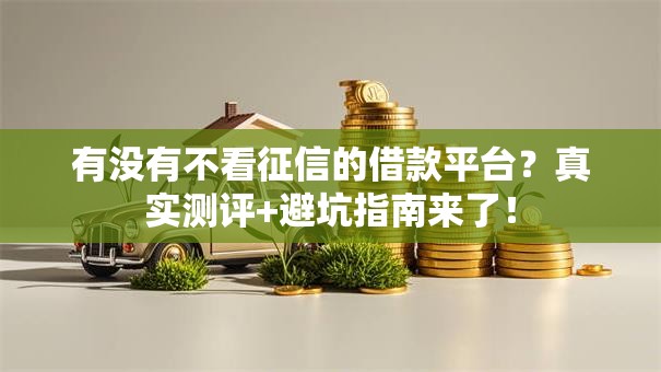 有没有不看征信的借款平台？真实测评+避坑指南来了！