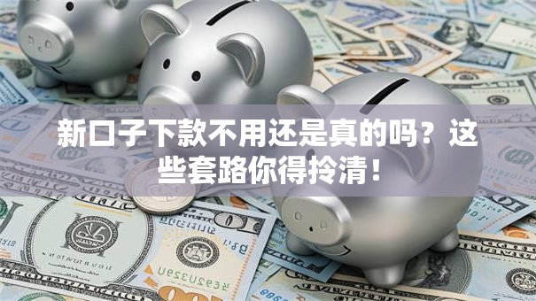 新口子下款不用还是真的吗？这些套路你得拎清！