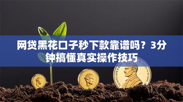 网贷黑花口子秒下款靠谱吗？3分钟搞懂真实操作技巧